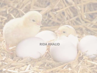 RIDA KHALID
 
