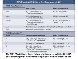 The AKIN "Acute Kidney Injury Network" criteria were published in 2007
after a meeting in the Netherlands comprised of multiple experts on AKI.
 