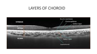 Comprehensive Overview of Choroidal Dystrophies: Genetics, Clinical ...