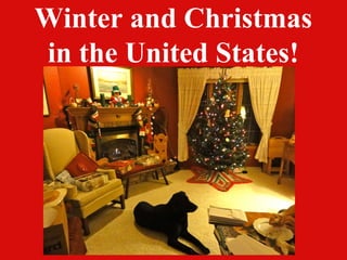 Winter and Christmas
in the United States!
 