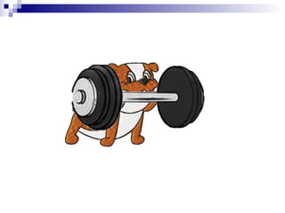 Final Chuta Corp   Diesel Flex