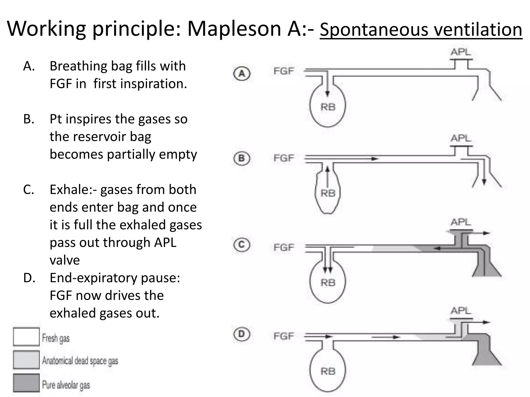 Working principle: Mapleson A:- Spontaneous ventilation
A. Breathing bag fills with
FGF in first inspiration.
B. Pt inspires the gases so
the reservoir bag
becomes partially empty
C. Exhale:- gases from both
ends enter bag and once
it is full the exhaled gases
pass out through APL
valve
D. End-expiratory pause:
FGF now drives the
exhaled gases out.
 
