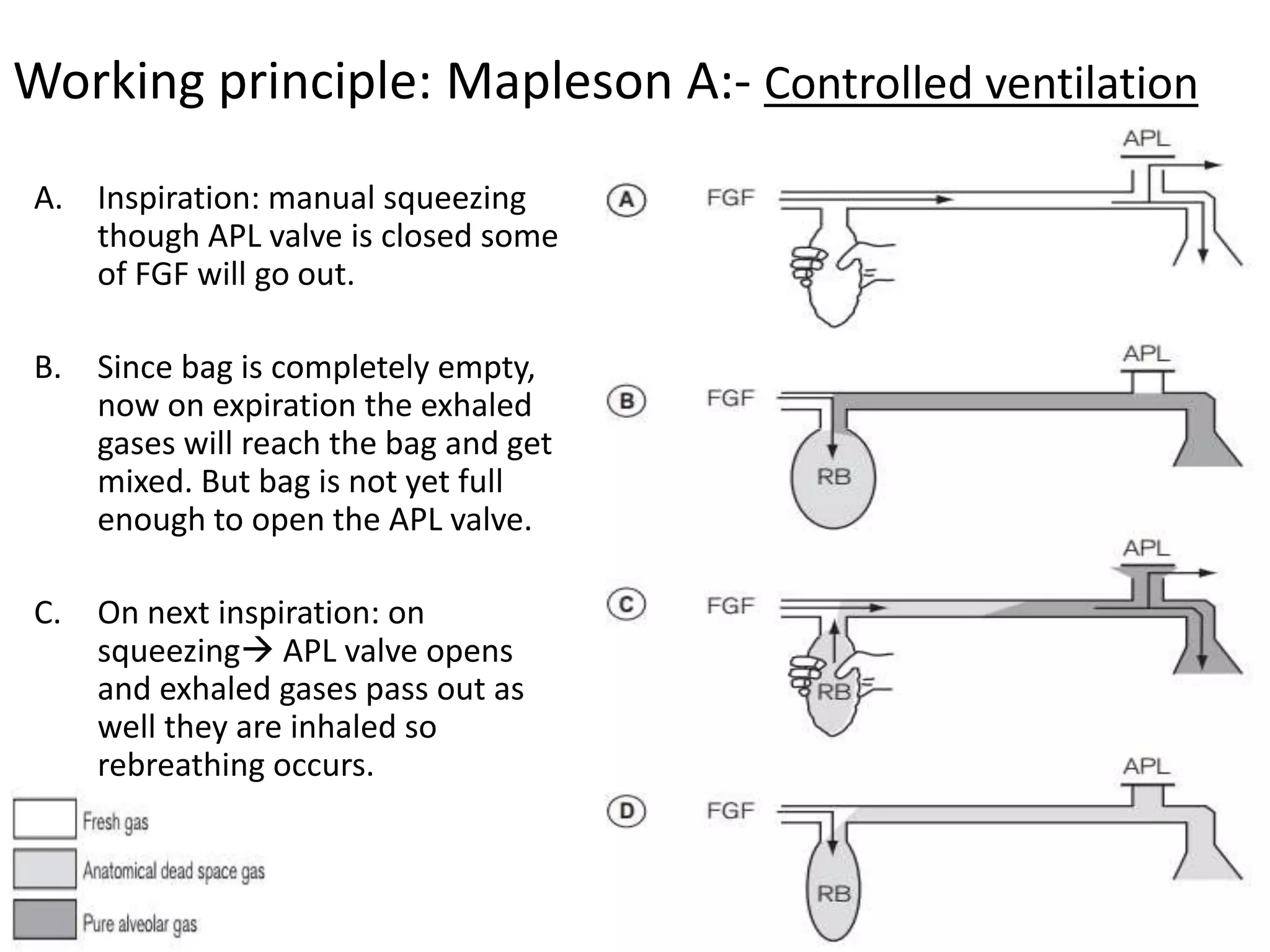 A. Inspiration: manual squeezing
though APL valve is closed some
of FGF will go out.
B. Since bag is completely empty,
now on expiration the exhaled
gases will reach the bag and get
mixed. But bag is not yet full
enough to open the APL valve.
C. On next inspiration: on
squeezing APL valve opens
and exhaled gases pass out as
well they are inhaled so
rebreathing occurs.
Working principle: Mapleson A:- Controlled ventilation
 