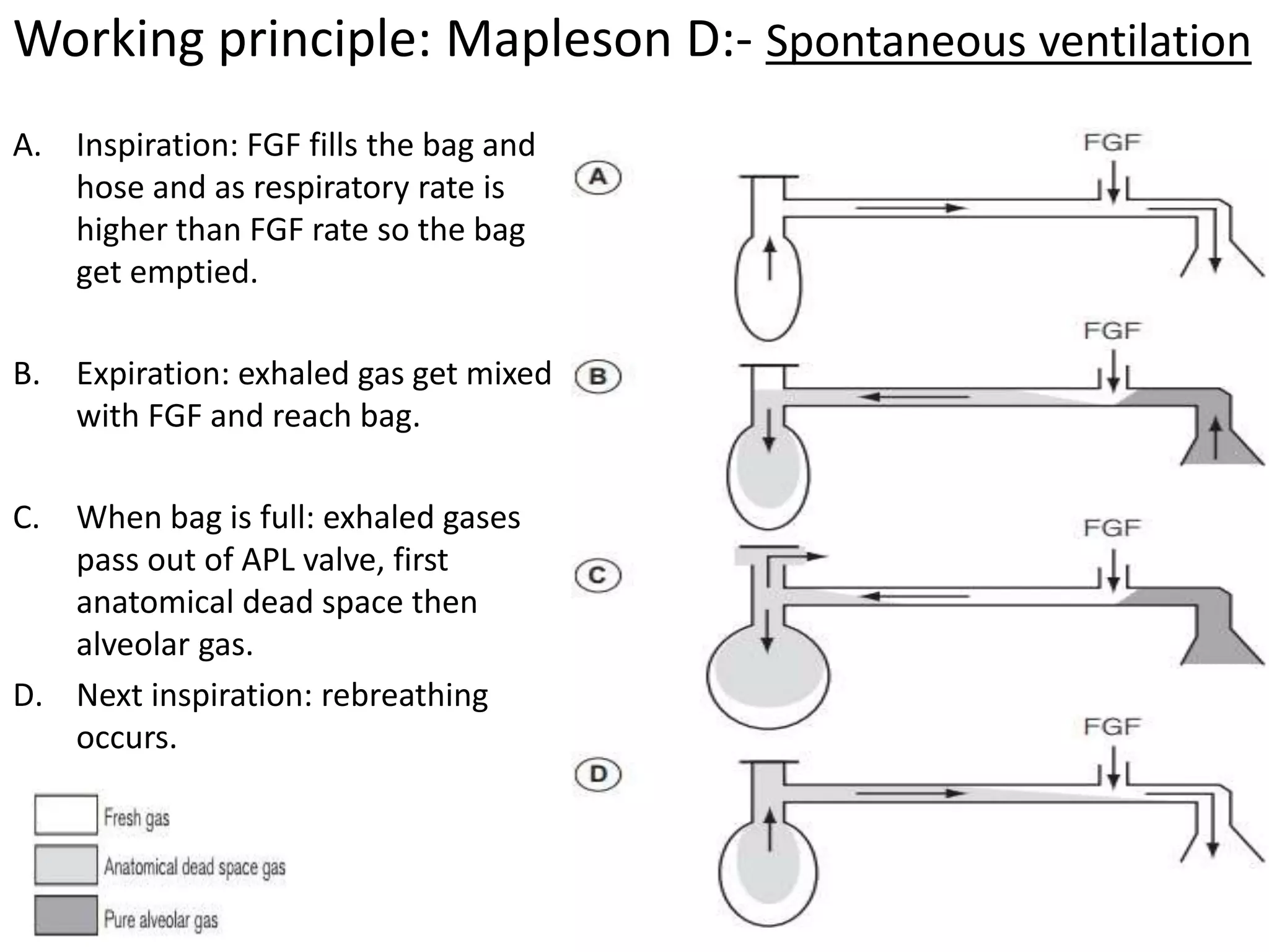 A. Inspiration: FGF fills the bag and
hose and as respiratory rate is
higher than FGF rate so the bag
get emptied.
B. Expiration: exhaled gas get mixed
with FGF and reach bag.
C. When bag is full: exhaled gases
pass out of APL valve, first
anatomical dead space then
alveolar gas.
D. Next inspiration: rebreathing
occurs.
Working principle: Mapleson D:- Spontaneous ventilation
 