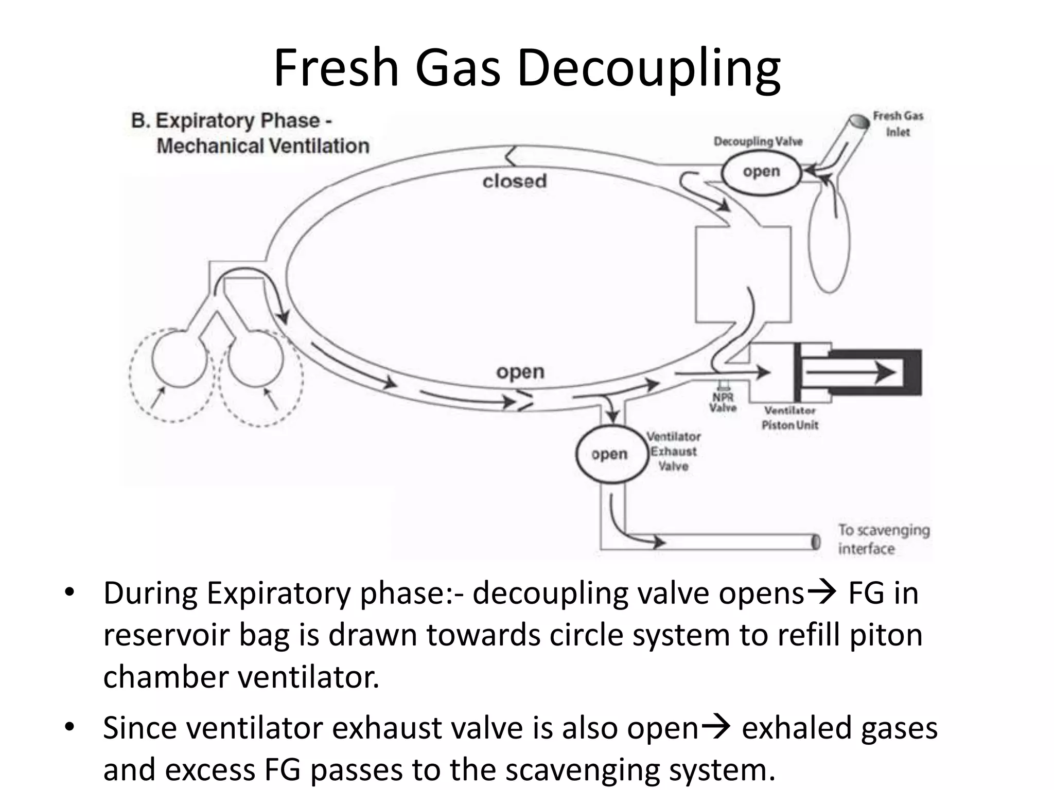 Fresh Gas Decoupling
• During Expiratory phase:- decoupling valve opens FG in
reservoir bag is drawn towards circle system to refill piton
chamber ventilator.
• Since ventilator exhaust valve is also open exhaled gases
and excess FG passes to the scavenging system.
 