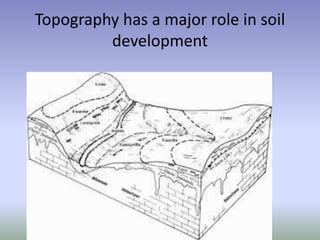 Topography has a major role in soil
development
 