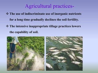 Agricultural practices-
 The use of indiscriminate use of inorganic nutrients
for a long time gradually declines the soil fertility.
 The intensive inappropriate tillage practices lowers
the capability of soil.
 