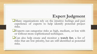 Expert Judgment Risk Technique Final Class Presentation on Determining Project Stakeholders & Risks.pptx