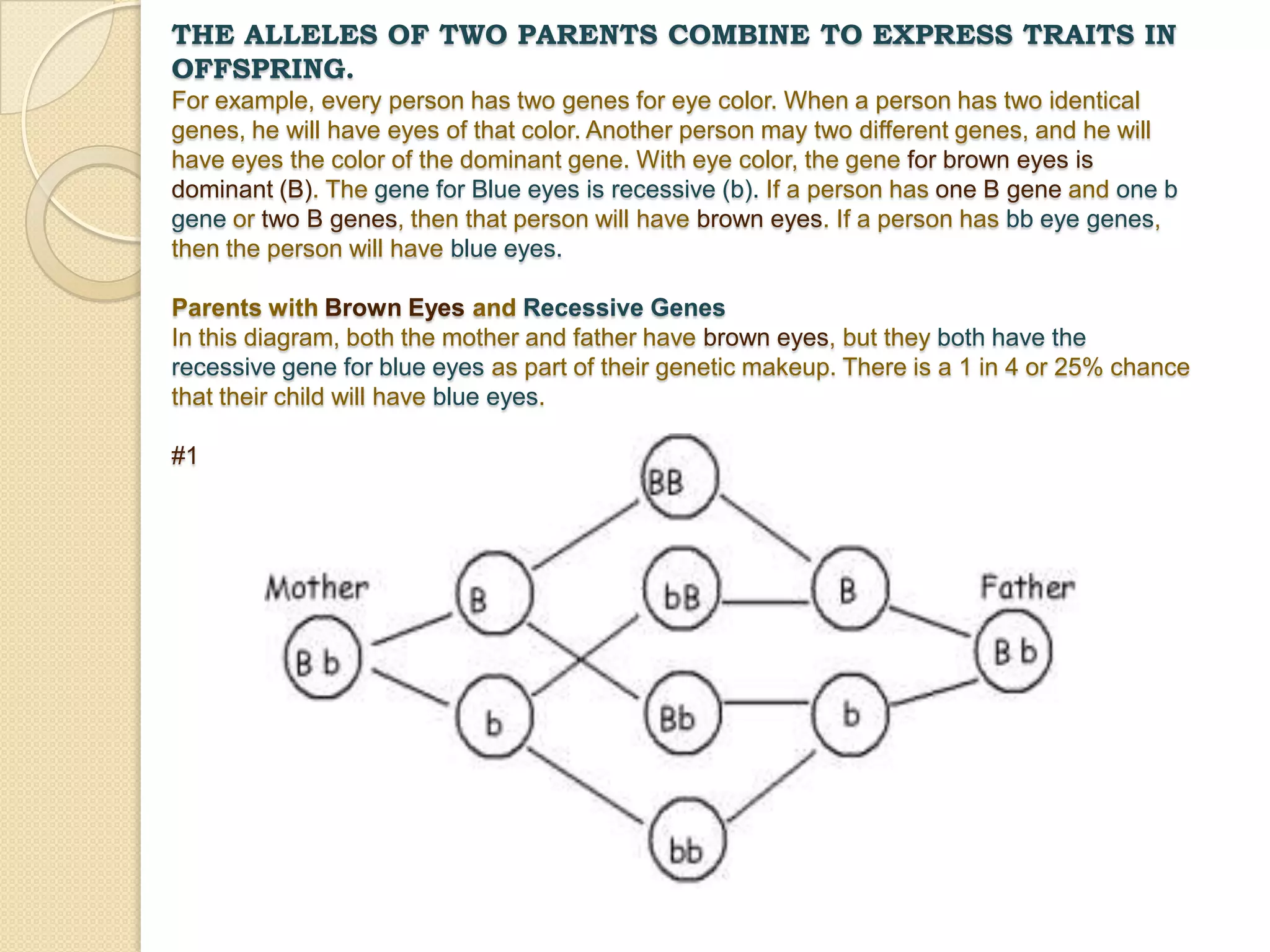  Traits are controlled by dominant and recessive allelles.  A dominant allele always shows up when it is present and hides the recessive alleles.  A recessive allelle only shows up when the dominant one is not there.  An organism will normally be either homozygous or heterozygous  and if you’re heterozygous then the dominant allele will mask the recessive allele.