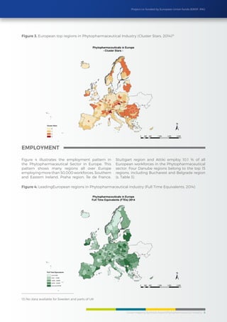 Cluster Mapping Synthesis Report/Phytopharmaceutical Industry 8
Project co-funded by European Union funds (ERDF, IPA)
Figure 4 illustrates the employment pattern in
the Phytopharmaceutical Sector in Europe. This
pattern shows many regions all over Europe
employing more than 50,000 workforces. Southern
and Eastern Ireland, Praha region, Île de France,
Stuttgart region and Attiki employ 10.1 % of all
European workforces in the Phytopharmaceutical
sector. Four Danube regions belong to the top 15
regions, including Bucharest and Belgrade region
(s. Table 3).
employment
Figure 4: LeadingEuropean regions in Phytopharmaceutical industry (Full Time Equivalents, 2014)
13) No data available for Sweden and parts of UK
Figure 3. European top regions in Phytopharmaceutical Industry (Cluster Stars, 2014)13
 