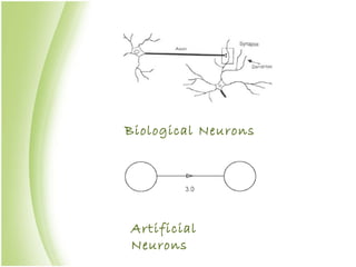 Biological Neurons Artificial Neurons 