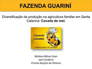 FAZENDA GUARINÍ
Diversificação da produção na agricultura familiar em Santa
Catarina: Cocada de mel.
Bárbara Rélvas Ilyan
Joel Cordeiro
Priscila Raijche de Oliveira
 