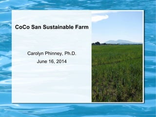 CoCo San Sustainable Farm
Carolyn Phinney, Ph.D.
June 16, 2014
 