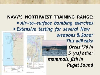 NAVY’S NORTHWEST TRAINING RANGE: 
• Air-‐to-‐surface bombing exercises 
• Extensive testing for several New 
weapons & Sonar 
This will take 
Orcas (70 in 
5 yrs) other 
mammals, fish in 
Puget Sound 
 