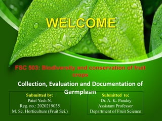Collection, Evaluation and Documentation of
Germplasm
Submitted by:
Patel Yash N.
Reg. no.: 2020219035
M. Sc. Horticulture (Fruit Sci.)
Submitted to:
Dr. A. K. Pandey
Assistant Professor
Department of Fruit Science
 