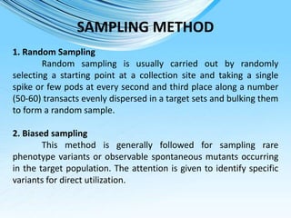 Collection, evaluation and documentation of germplasm | PPTX