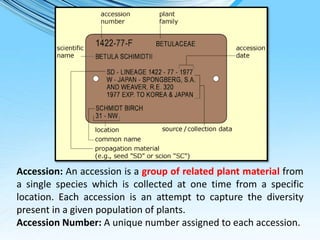 Collection, evaluation and documentation of germplasm | PPTX