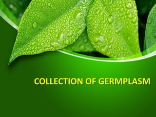 Collection, evaluation and documentation of germplasm