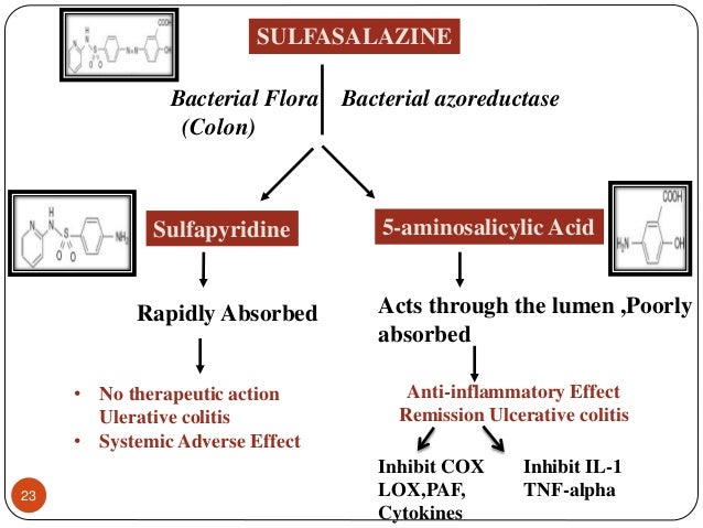 Mesalamine Side Effects Fatigue