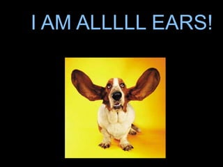 I AM ALLLLL EARS!