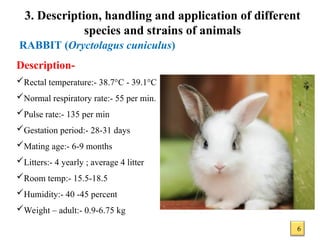 Final Common laboratory animals for experimental pharmacology | PPT