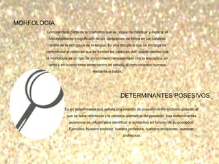 MORFOLOGIA
Comprende la parte de la gramática que se ocupa de clasificar y explicar el
funcionamiento y significado de las variaciones de forma en las palabras
dentro de la estructura de la lengua. Es una disciplina que se encarga de
comprender el modo en que se forman las palabras. Así, puede decirse que
la morfología es un tipo de conocimiento emparentado con la lingüística, en
tanto y en cuanto toma como centro de estudio la comunicación humana
mediante el habla.
DETERMINANTES POSESIVOS
Es un determinante que señala una relación de posesión entre el objeto poseído al
que se hace referencia y la persona gramatical del poseedor. Los determinantes
posesivos se utilizan para identificar el sustantivo en función de su poseedor.
Ejemplos: Nuestro profesor, nuestra profesora, nuestros profesores, nuestras
profesoras
 