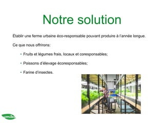 Notre solution
Établir une ferme urbaine éco-responsable pouvant produire à l’année longue.
Ce que nous offrirons:
• Fruits et légumes frais, locaux et coresponsables;
• Poissons d’élevage écoresponsables;
• Farine d’insectes.
 