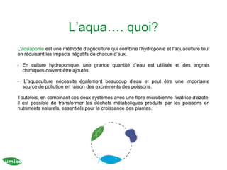 L’aqua…. quoi?
L'aquaponie est une méthode d’agriculture qui combine l'hydroponie et l'aquaculture tout
en réduisant les impacts négatifs de chacun d’eux.
• En culture hydroponique, une grande quantité d’eau est utilisée et des engrais
chimiques doivent être ajoutés.
• L’aquaculture nécessite également beaucoup d’eau et peut être une importante
source de pollution en raison des excréments des poissons.
Toutefois, en combinant ces deux systèmes avec une flore microbienne fixatrice d'azote,
il est possible de transformer les déchets métaboliques produits par les poissons en
nutriments naturels, essentiels pour la croissance des plantes.
 