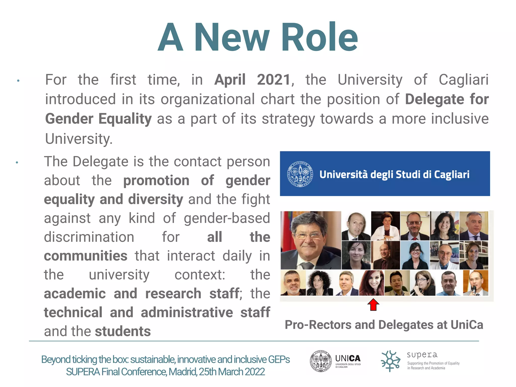Institutionalisation of Gender Equality Delegate Position | PDF