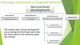 MRI evaluation of developing brain and its role in congenital brain ...