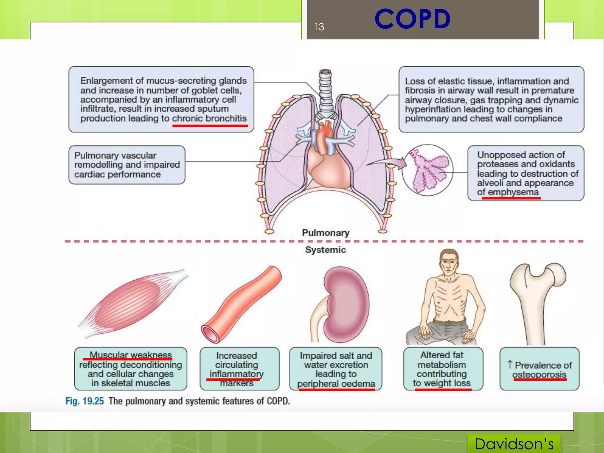 Chronic Obstructive Pulmonary Disease | PPTX
