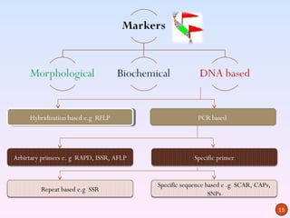 Hybridization based e.g RFLP
     Hybridization based e.g RFLP                       PCR based




Arbirtary primers e. g RAPD, ISSR, AFLP               Specific primer


                                          Specific sequence based e .g SCAR, CAPs,
         Repeat based e.g SSR
                                                             SNPs

                                                                                     15
 