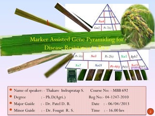 Xa4
                                                     Gm2, Pi-7(t)


           Marker Assisted Gene Pyramiding for
               Disease Resistance in Rice
                                         Pi-5(t)   Xa3         Pi-2(t)   Xa5    Bph2

                                         Xa7          Xa21         Pi-4(t) Pi(t) Xa13 Gm4t




 Name of speaker: - Thakare Indrapratap S.         Course No: - MBB 692
 Degree          : - Ph.D(Agri.)                  Reg No:- 04-1247-2010
 Major Guide     : - Dr. Patel D. B.               Date : - 06/04/2013
 Minor Guide     : - Dr. Fougat R. S.              Time : - 16.00 hrs                       2
 