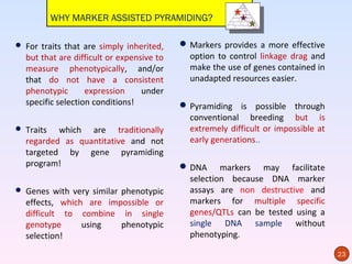 WHY MARKER ASSISTED PYRAMIDING?

 For traits that are simply inherited,     Markers provides a more effective
  but that are difficult or expensive to     option to control linkage drag and
  measure phenotypically, and/or             make the use of genes contained in
  that do not have a consistent              unadapted resources easier.
  phenotypic       expression     under
  specific selection conditions!            Pyramiding is possible through
                                             conventional breeding but is
 Traits  which are traditionally            extremely difficult or impossible at
  regarded as quantitative and not           early generations..
  targeted by gene pyramiding
  program!                                  DNA markers may facilitate
                                             selection because DNA marker
 Genes with very similar phenotypic         assays are non destructive and
  effects, which are impossible or           markers for multiple specific
  difficult to combine in single             genes/QTLs can be tested using a
  genotype      using   phenotypic           single DNA sample without
  selection!                                 phenotyping.

                                                                                    23
 