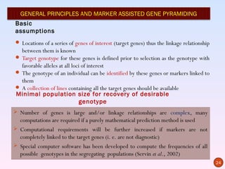 GENERAL PRINCIPLES AND MARKER ASSISTED GENE PYRAMIDING
Basic
assumptions
 Locations of a series of genes of interest (target genes) thus the linkage relationship
  between them is known
 Target genotype for these genes is defined prior to selection as the genotype with
  favorable alleles at all loci of interest
 The genotype of an individual can be identified by these genes or markers linked to
  them
 A collection of lines containing all the target genes should be available
Minimal population size for recovery of desirable
                               genotype
 Number of genes is large and/or linkage relationships are complex, many
  computations are required if a purely mathematical prediction method is used
 Computational requirements will be further increased if markers are not
  completely linked to the target genes (i. e. are not diagnostic)
 Special computer software has been developed to compute the frequencies of all
  possible genotypes in the segregating populations (Servin et al., 2002)
                                                                                            24
 