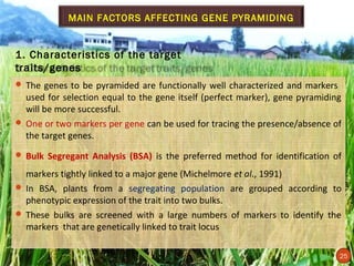 MAIN FACTORS AFFECTING GENE PYRAMIDING


 1. Characteristics of the target
 traits/genes
  The genes to be pyramided are functionally well characterized and markers
   used for selection equal to the gene itself (perfect marker), gene pyramiding
   will be more successful.
  One or two markers per gene can be used for tracing the presence/absence of
   the target genes.
  Bulk Segregant Analysis (BSA) is the preferred method for identification of

   markers tightly linked to a major gene (Michelmore et al., 1991)
  In BSA, plants from a segregating population are grouped according to
   phenotypic expression of the trait into two bulks.
  These bulks are screened with a large numbers of markers to identify the
   markers that are genetically linked to trait locus

25
                                                                               25
 