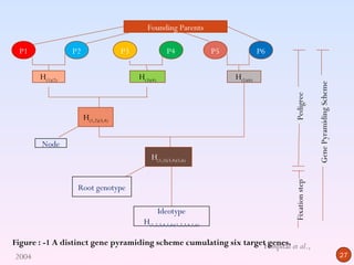 Founding Parents

 P1              P2                 P3                P4                 P5             P6

       H(1)(2)                           H(3)(4)                              H(5)(6)




                                                                                                             Gene Pyramiding Scheme
                                                                                             Pedigree
                      H(1,2)(3,4)


        Node
                                              H(1,2)(3,4)(5,6)




                                                                                             Fixation step
                  Root genotype

                                                   Ideotype
                                           H(1,2,3,4,5,6)(1,2,3,4,5,6)

Figure : -1 A distinct gene pyramiding scheme cumulating six targetHospital et al.,
                                                                    genes.
2004                                                                                                                                  27
 