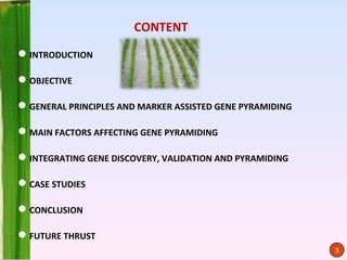 CONTENT
INTRODUCTION

OBJECTIVE

GENERAL PRINCIPLES AND MARKER ASSISTED GENE PYRAMIDING

MAIN FACTORS AFFECTING GENE PYRAMIDING

INTEGRATING GENE DISCOVERY, VALIDATION AND PYRAMIDING

CASE STUDIES

CONCLUSION

FUTURE THRUST
                                                          3
 