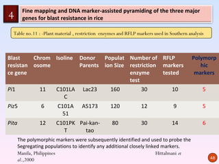Fine mapping and DNA marker-assisted pyramiding of the three major
4        genes for blast resistance in rice

  Table no.11 : -Plant material , restriction enzymes and RFLP markers used in Southern analysis



Blast    Chrom Isoline         Donor   Populat Number of RFLP                             Polymorp
resistan osome                 Parents ion Size restriction markers                          hic
ce gene                                         enzyme      tested                         markers
                                                test
Pi1             11      C101LA Lac23     160         30         10                             5
                          C
Piz5             6      C101A      A5173         120             12              9             5
                          51
Pita            12      C101PK Pai-kan-           80             30             14             6
                           T     tao
       The polymorphic markers were subsequently identified and used to probe the
       Segregating populations to identify any additional closely linked markers.
       Manila, Philippines                                             Hittalmani et
       al.,2000                                                                                    48
 