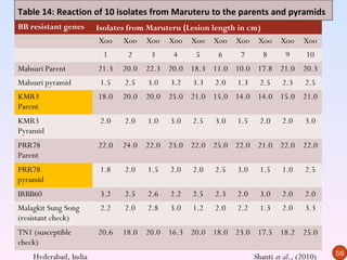 Table 14: Reaction of 10 isolates from Maruteru to the parents and pyramids
BB resistant genes     Isolates from Maruteru (Lesion length in cm)
                        Xoo Xoo Xoo Xoo Xoo Xoo Xoo Xoo                    Xoo    Xoo
                        1      2    3     4     5     6     7        8      9      10
Mahsuri Parent         21.3   20.0 22.3 20.0 18.3 11.0 10.0 17.8 21.0 20.3
Mahsuri pyramid         1.5   2.5   3.0   3.2   3.3   2.0   1.3    2.5     2.3     2.5
KMR3                   18.0   20.0 20.0 25.0 21.0 15.0 14.0 14.0 15.0 21.0
Parent
KMR3                    2.0   2.0   1.0   3.0   2.5   3.0   1.5    2.0     2.0     3.0
Pyramid
PRR78                  22.0   24.0 22.0 23.0 22.0 25.0 22.0 21.0 22.0 22.0
Parent
PRR78                   1.8   2.0   1.5   2.0   2.0   2.5   3.0    1.5     1.0     2.5
pyramid
IRBB60                  3.2   2.5   2.6   2.2   2.5   2.3   2.0    3.0     2.0     2.0
Malagkit Sung Song      2.2   2.0   2.8   3.0   1.2   2.0   2.2    1.3     2.0     3.3
(resistant check)
TN1 (susceptible       20.6   18.0 20.0 16.3 20.0 18.0 23.0 17.5 18.2 25.0
check)
                                                                                          58
    Hyderabad, India                                              Shanti et al., (2010)
 