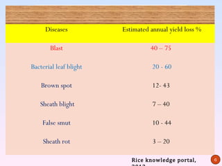 LIST OF VARIOUS DISEASES IN RICE

         Table 2 :Estimated yield loss range in yield
 Bacterial Diseases
                                                 Estimated annual rice
1. Bacterial Blight [Xanthomonas oryzae pv. oryzae (Ishiyama) Swing et alloss %
                                                                           .]
2. Bacterial Leaf Streak [Xanthomonas oryzae pv. oryzicola (Fang et al.) Swing et al.]
                 Diseases

 Fungal Diseases
1. Rice Blast [Magnaporthe grisea (Cooke) Sacc.]
2. Sheath Blight [Rhizoctonia solani Kuhn]
                   Blast                                     40 – 75

           Spot [Bipolaris oryzae
3. BrownBacterial leaf blight (Breda de Haan) Shoemaker] - 60
4. Leaf Scald [Microdochium oryzae (Hashioka &Yokogi) Samuels & I.C. Hallett]
5. Narrow Brown Spot [Cercospora janseana (Racib.) O. Const.]
                                                             20

6. Stem Rot [Sclerotium oryzae Cattaneo]
7. Sheath Rot [Sarocladium oryzae (Sawada) W. Gams & D. Hawksworth]
               Brown spot                                    12- 43
8. Bakanae [Fusarium fujikuroi Nirenberg]
9. False SmutSheath blight virens (Cooke) Takahashi]
               [Ustilaginoidea
 Virus Diseases
                                                              7 – 40
1. Tungro [Rice tungro bacillifor virus and spherical virus]
2. Grassy Stunt [Ricesmut stunt virus]
               False grassy
3. Ragged Stunt [Rice ragged stunt virus]
                                                             10 - 44
Nematode Diseases
1. Root Knot [Meloidogyne graminicola Golden & Birchfield]
2. White Tip [Aphelenchoides besseyi Christie]
                Sheath rot                                    3 – 20

                                                    Rice knowledge portal,               6
 