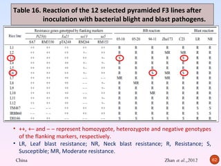 Table 16. Reaction of the 12 selected pyramided F3 lines after
          inoculation with bacterial blight and blast pathogens.




• ++, +– and – – represent homozygote, heterozygote and negative genotypes
  of the flanking markers, respectively.
• LR, Leaf blast resistance; NR, Neck blast resistance; R, Resistance; S,
  Susceptible; MR, Moderate resistance.
China                                                   Zhan et al.,2012     62
 