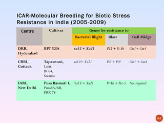 ICAR-Molecular Breeding for Biotic Stress
Resistance in India (2005-2009)
 Centre       Cultivar              Genes for resistance to
                            Bacterial Blight    Blast          Gall Midge

DRR,        BPT 5204        xa13 + Xa21        Pi2 + Pi-kh    Gm1+ Gm4
Hyderabad

CRRI,       Tapaswani,      xa13+ Xa21         Pi2 + Pi9      Gm1 + Gm4
Cuttack     Lalat,
            IR 64,
            Swarna
IARI,       Pusa Basmati 1, Xa13 + Xa21        Pi-kh + Piz-5 Not required
New Delhi   Pusa6A/6B,
            PRR 78




                                                                            64
 