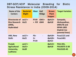 DBT-GCP/ACIP Molecular Breeding for                      Biotic
Stress Resistance in India (2009-2014)
 Name of the   Bacterial   Blast Gall     Brown    Target Varieties
  Centers      Blight            Midge     Plant
                                         hopper
Directorate of xa13 +      Pi-kh GM1+    Bph13+    Sampada,
Rice Research Xa21         + Pi9 GM4     Bph18     Akshayadhan,
(DRR),                                             DRR17B and
Hyderabad                                          RPHR-1005
                                                   (hybrid rice
                                                   parental lines)
IARI, New      xa13 +      Piz-    -     Bph18+    Pusa1121 and
Delhi          Xa21        5+            Bph20+    Pusa1401
                           Pi-kh         Bph21
Punjab         xa13 +                    Bph13+    PAU-201,
Agricultural   Xa21+                     Bph18     PAU3075-3-38
University,    Xa30                                PAU3105-45
Ludhiana
                                                                      65
 