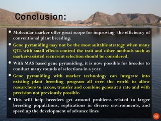 Conclusion:
 Molecular marker offer great scope for improving the efficiency of
  conventional plant breeding.
 Gene pyramiding may not be the most suitable strategy when many
  QTL with small effects control the trait and other methods such as
  marker-assisted recurrent selection should be considered.
 With MAS based gene pyramiding, it is now possible for breeder to
  conduct many rounds of selections in a year.
 Gene pyramiding with marker technology can integrate into
  existing plant breeding program all over the world to allow
  researchers to access, transfer and combine genes at a rate and with
  precision not previously possible.
 This will help breeders get around problems related to larger
  breeding populations, replications in diverse environments, and
  speed up the development of advance lines
                                                                         68
 
