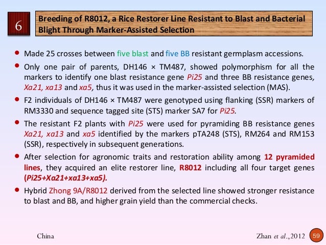 Marker Assisted Gene Pyramiding for Disease Resistance in Rice