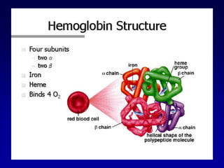 final copy of pathogenesis hemolytic anemias.ppt