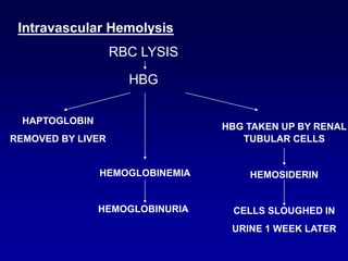 Hydrolysis Rbc final copy of pathogenesis hemolytic anemias.ppt
