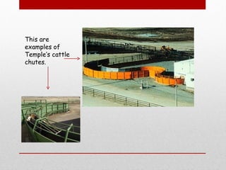 Temple Grandon Electronic Book | PPT