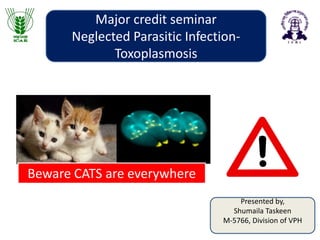 Presented by,
Shumaila Taskeen
M-5766, Division of VPH
Major credit seminar
Neglected Parasitic Infection-
Toxoplasmosis
Beware CATS are everywhere
 
